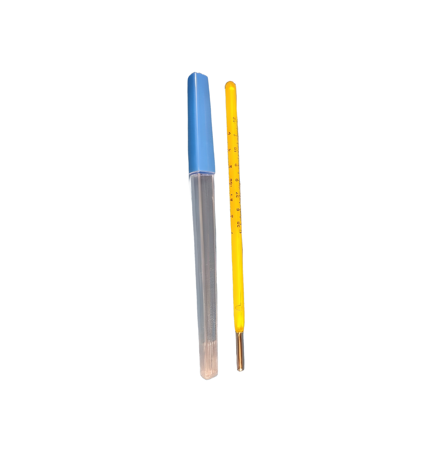 Mercury Thermometer 2