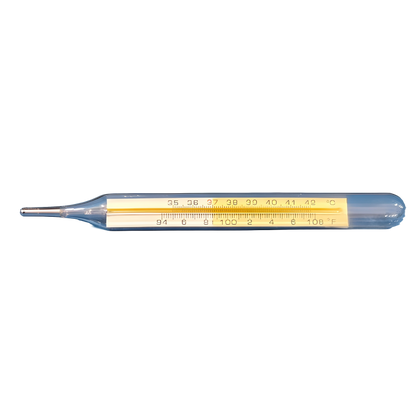 Smart Care Flat Mercury Thermometer