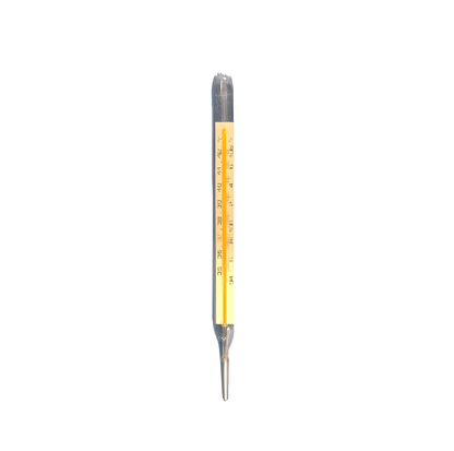 Super Yellow Thermometer