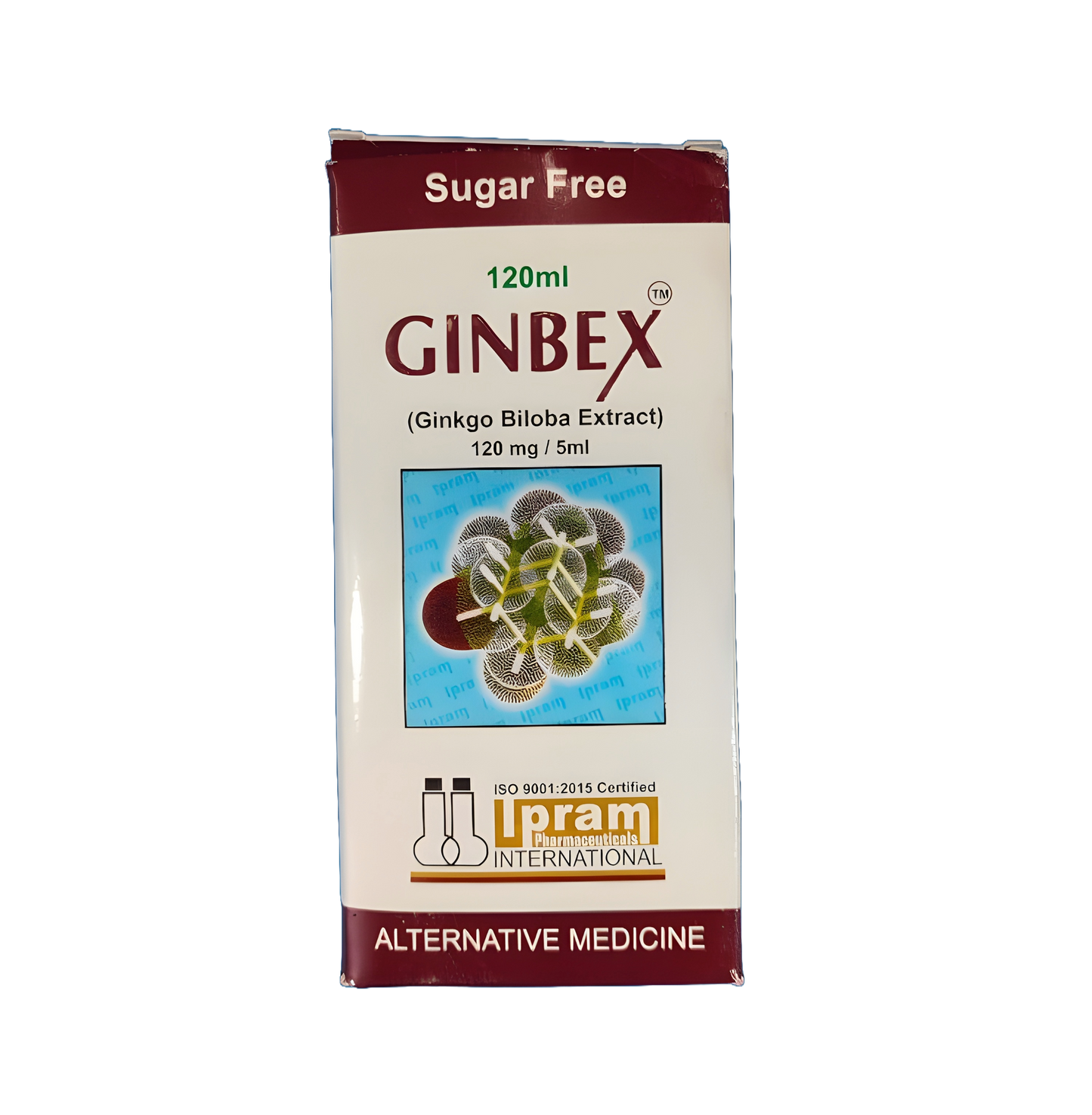 Syrup Ginbex (Ginkgo Biloba Extract) 120mg/5ml