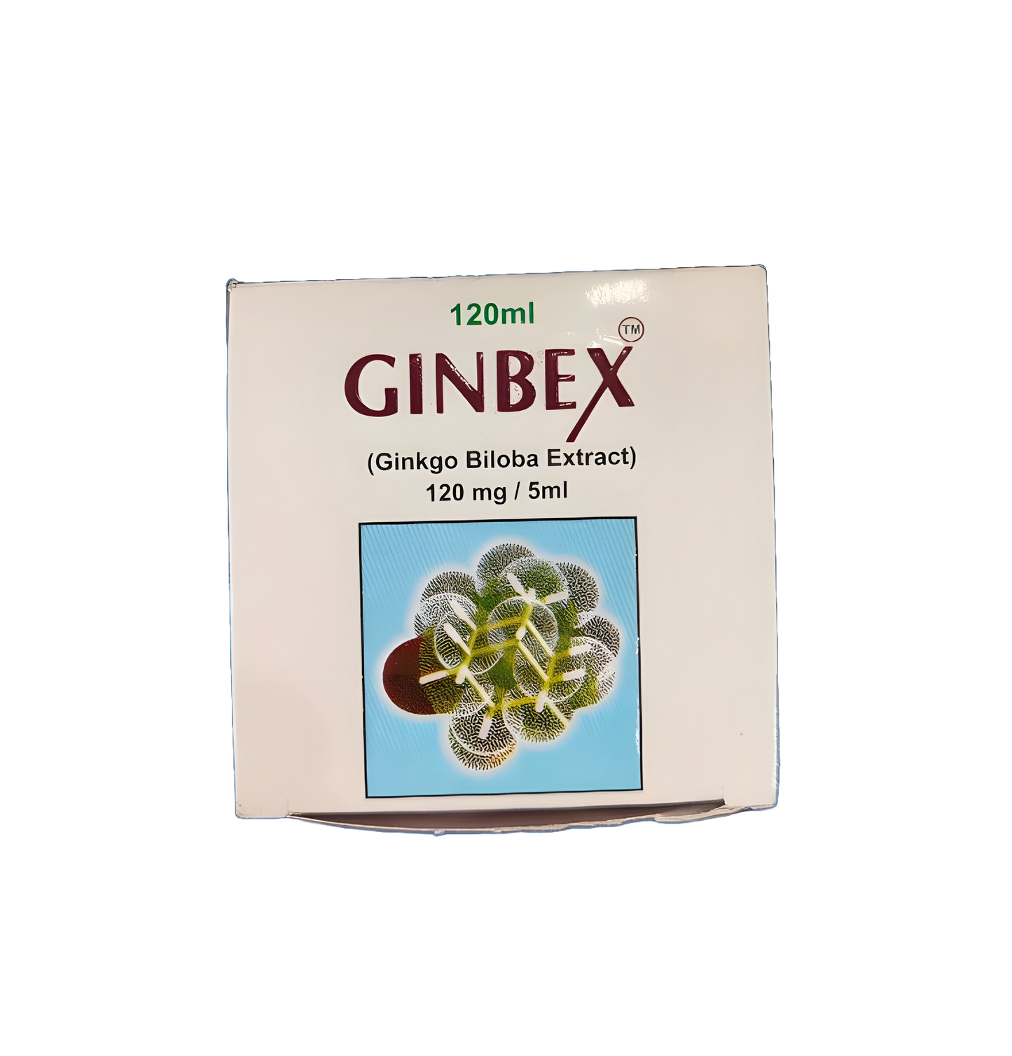 Syrup Ginbex (Ginkgo Biloba Extract) 120mg/5ml